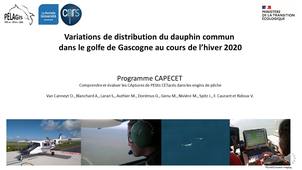 Variations de distribution du dauphin commun dans le golfe de Gascogne au cours de l’Hiver 2020