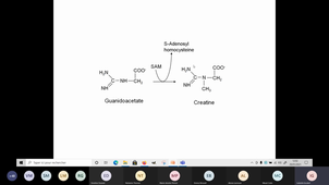 Catabolisme de la Methionine