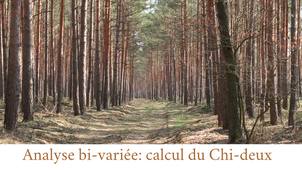 Études Marketing - Analyse Bivariée Partie 5 : Calcul du Chi-deux