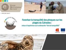 17_Favoriser la tranquillité des phoques sur les plages du Calvados