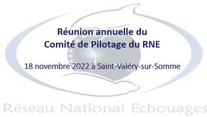 0_Restitution Copil RNE 2022