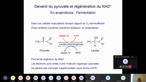 Fermentations 2