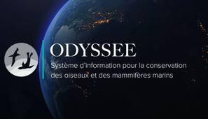 - Système d'informations ODYSSEE