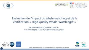 16_Évaluation de l'impact du whale-watching et de la certification