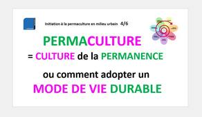 Initiation à la Permaculture : cours n°4 sur 6 - Fleur & Design (début)