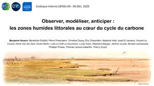 Observer, modéliser, anticiper : les zones humides littorales au coeur du cycle du carbone