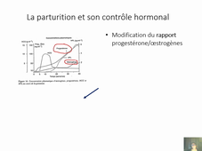 Cours Physio de la reproduction VI La parturition et la lactation