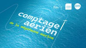 Methodologie comptage aerien