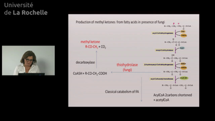 22 Lipid degradation 2