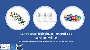 Les traceurs écologiques : un outil de suivi analytique