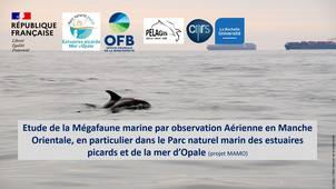 15_MAMO : Suivi aérien en mer d'Opale