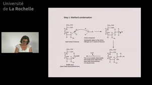 19 Maillard reaction 3