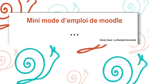 Mini mode d'emploi du cours moodle 