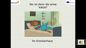 Wo ist die Katze