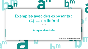 Exemples avec des exposants : (4) en littéral