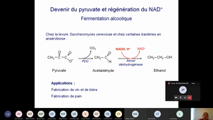 Fermentations 4