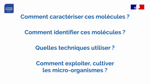 Licence Sciences pour la santé