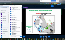 M1 SPE - Outils de suivi (1) - CM - Analyse de données issues de suivis télémétriques (1/2)