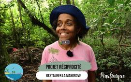 Les solutions fondées sur la nature pour s'adapter au changement climatique dans les outre-mer.  Volet 1 - Projet RECIPROCITE de renaturation de la mangrove