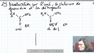 CM 4 Utilisation de la PDB...partie 2