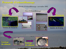 Conférence sur la contamination des mangroves indonésiennes - Gilles Radenac