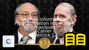 Programmation impérative (novice) - Cahier - Exercice 17