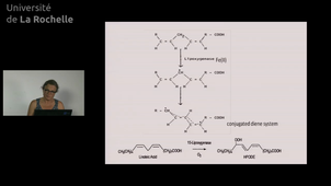 25 Lipid degradation 5