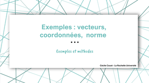 Exemples : vecteurs , coordonnées, norme, somme…