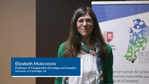Elizabeth Murchison at the 2022 Cancer and Evolution Workshop