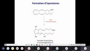 AG oxydation Non Enzymatique