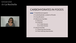 12 Carbohydrates Nutrition