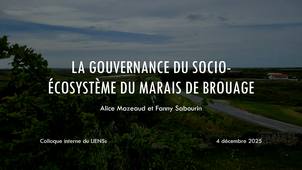 La gouvernance du socio-écosystème du marais de Brouage