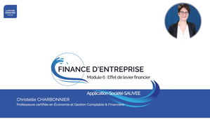 M6-EffetLevierFinancier-Application Société SAUVEE