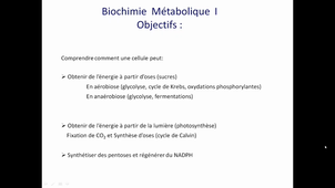 Video Intro Cours Bioch Métabolique