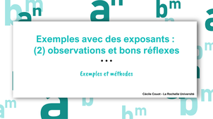 Exemples avec des exposants : (2) observations et réflexes
