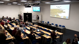 Impacts des prés salés sur la dissipation des vagues et sur  les niveaux marins extrêmes