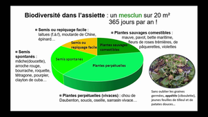 Jardinage permacole 2/2