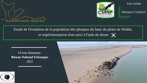 12_Utilisation du drone lors du suivi des phoques au port de Calais et proposition de classement du site