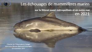2_Echouages en Atlantique, Manche et outre-mer en 2021