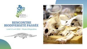 Rencontre Biodiversité Passée - Biosena - Musée d'Angoulême