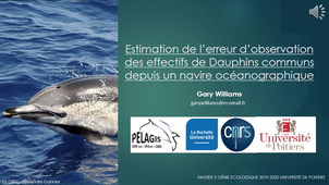 Estimation de l’erreur d’observation des effectifs de dauphins communs depuis un navire océanographique