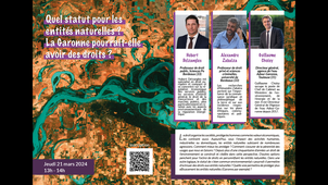 Quel statut pour les entités naturelles ? La Garonne pourrait-elle avoir des droits ?