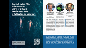 Suivre et évaluer l'état de la biodiversité : intérêt et difficulté dans la construction et l'utilisation des indicateurs