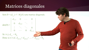 Déterminant d'une matrice