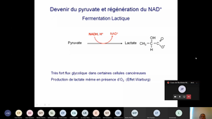 Fermentations 3