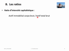 M4.1. ANALYSE DE L'INVESTISSEMENT PAR LES RATIOS