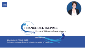 M5-TableauFlux-Trésorerie-Présentation