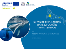 Suivi des populations de mammifères marins par transects de ligne et acoustique dans la Caraïbe