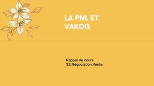S2Nego PNL-Vak rappel de cours.mp4
