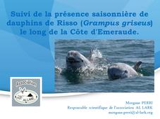 Suivi de la présence saisonnière de dauphins de Risso le long de la Côte d'Emeraude
